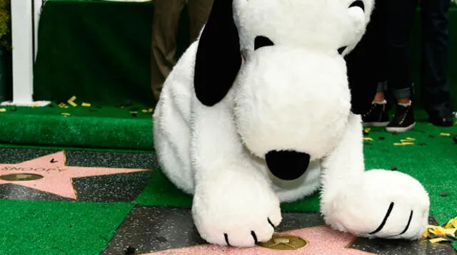 Famoso beagle ya tiene su estrella a pocos días del estreno de su película
