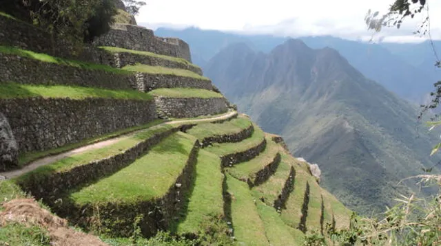 Andenes de Machu Picchu.