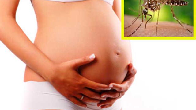 El virus del zika puede alterar la salud del bebé.