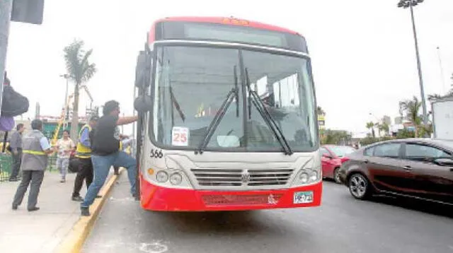 Protransporte anuncia que pronto se sumarán otras 25 unidades más.