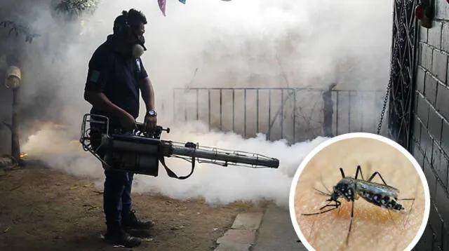 Autoridades en alerta máxima por temido Zika, trasmitido por el mosquito Aedes Aegypti.