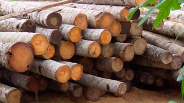 La madera de Perú corre peligro de perder dos de sus importantes mercados.