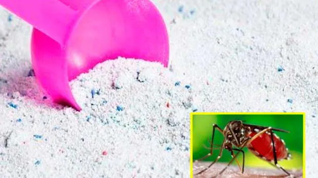 Chileno logró crear un detergente capaz de evitar el zika.