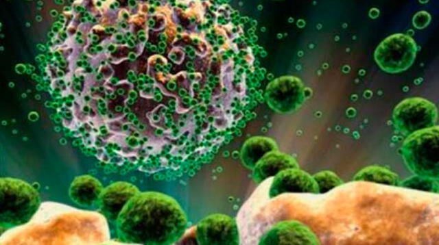 Virus que afectaría la salud a nivel mundial