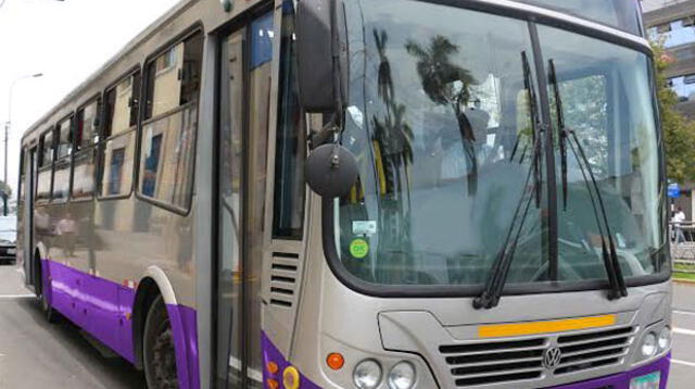 Operarán 42 buses que circularán por túneles San Martín y Santa Rosa