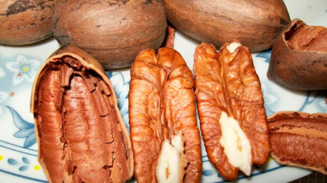 Las nueces, almendras y maní deben ser el snack de todas la tardes