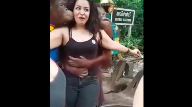 Pese a ello, la mujer tomó con buen humor la travesura del orangután