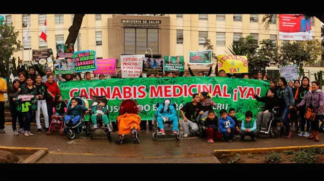 El cannabis medicinal ayuda al tratamiento del síndrome de West 