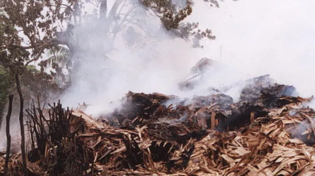 El fuego ha devorado pastizales, árboles, y animales y hay 4 personas heridas.