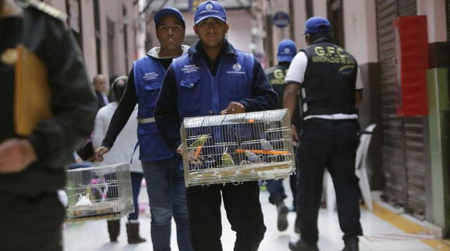 También se rescato aves, hamsters y conejos del Cercado de Lima 