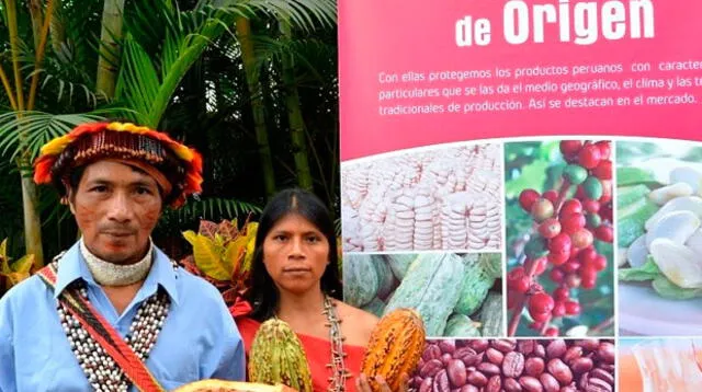 Indecopi reconoce al cacao amazónico