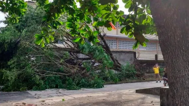 Lluvia torrencial en Iquitos deja 19 heridos y 20 viviendas afectadas