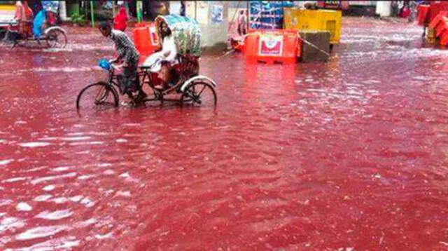 Bangladesh acabó en un río de sangre tras sacrificio