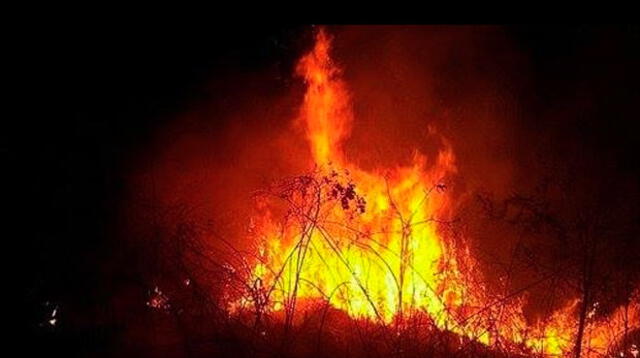 Incendio forestal del VRAEM aún no está controlado
