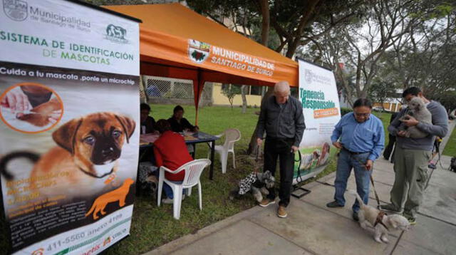 Surco realiza empadronamiento de mascotas en distrito 