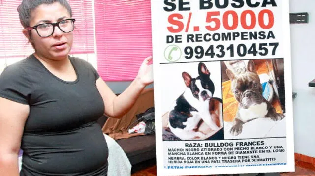 Óreo sufre del corazón. Mientras Bella tiene un tumor en su pata derecha