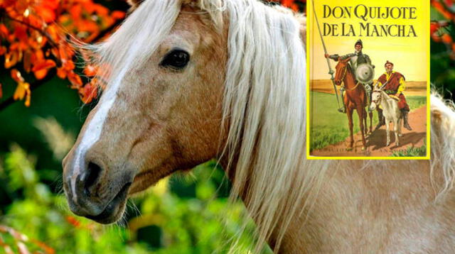 Los caballos también saben leer