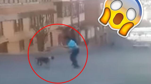 Sorprendente enfrentamiento entre un hombre con su machete y un perro pitbull