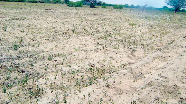 Declaran a Piura en emergencia hídrica por falta de lluvias 