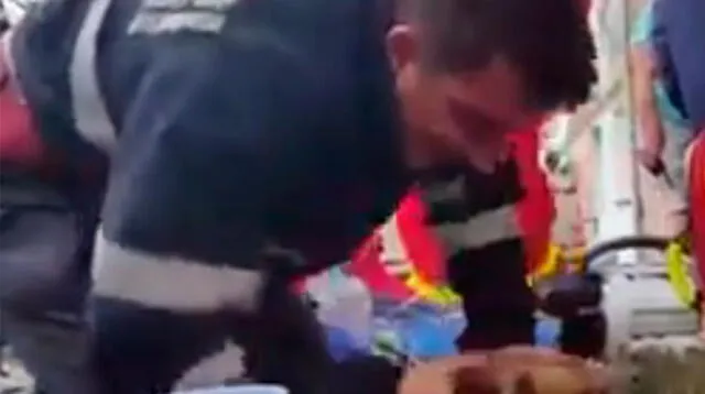 Bombero rumano salva a perro dándole respiración boca a boca
