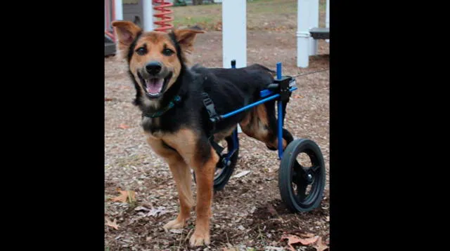 Se recuperó y camina con silla de ruedas