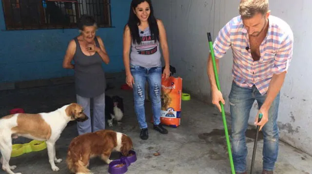 Trabajo duro por los perritos.