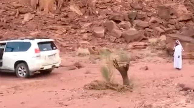 Intentó retirar un árbol con su vehículo