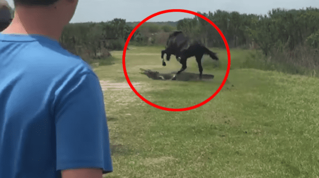 El caballo inició con el enfrentamiento