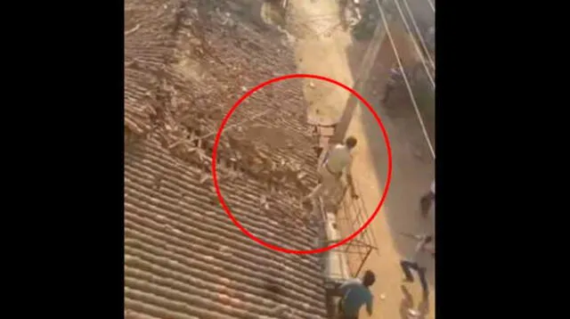Hombre salta desde un tejado para evitar ser atrapado por un leopardo