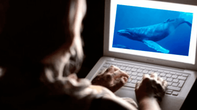 Juego de la ballena azul capta más rápido a adolescentes con depresión y niños violentos