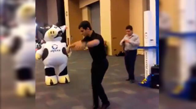 Una "vaca" y un hombre se enfrentan en épico duelo de baile Una "vaca" y un hombre se enfrentan en épico duelo de baile