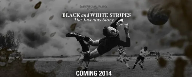 Afiche de la película ‘Black and White stripes’