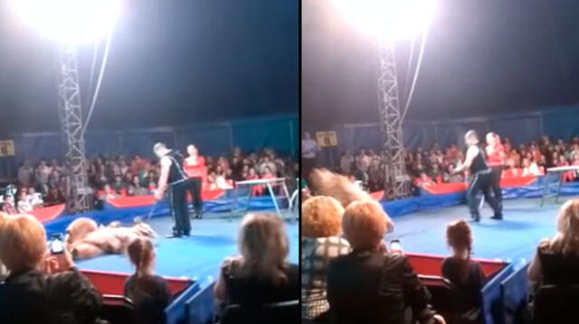 Usuarios piden que se prohíba el uso de animales en circos