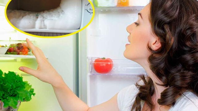 Descongela tu refrigerador y te ahorrarás en el recibo de electricidad