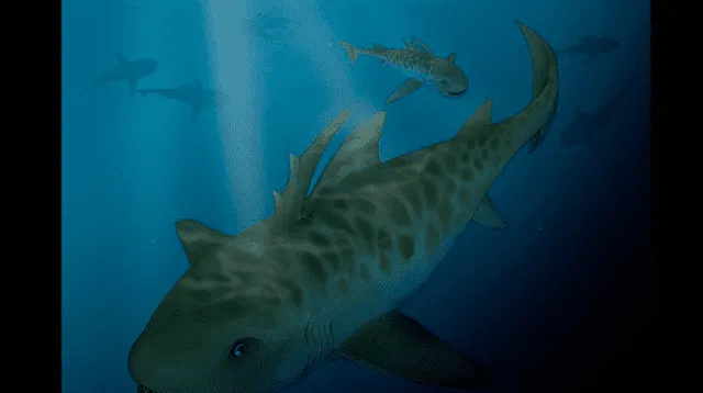 Hallan restos de tiburón de 400 años de antigüedad a orillas del Lago Titicaca