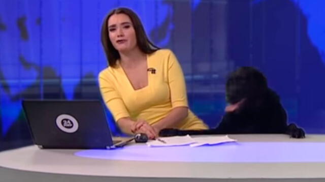 Este inesperado visitante sorprendió a la conductora en pleno programa Este inesperado visitante sorprendió a la conductora en pleno programa