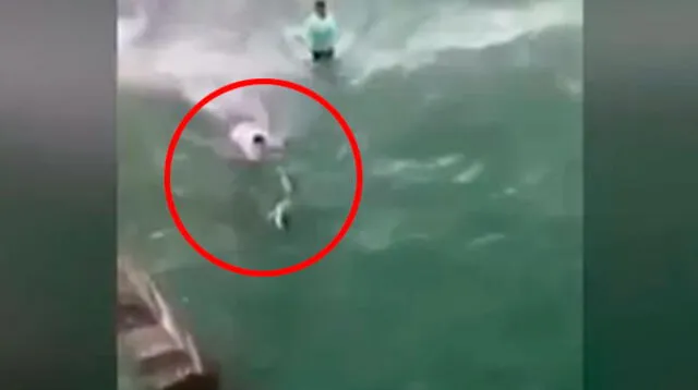 Video muestra precisos instantes de ataque de tiburón a pescador en Estados Unidos