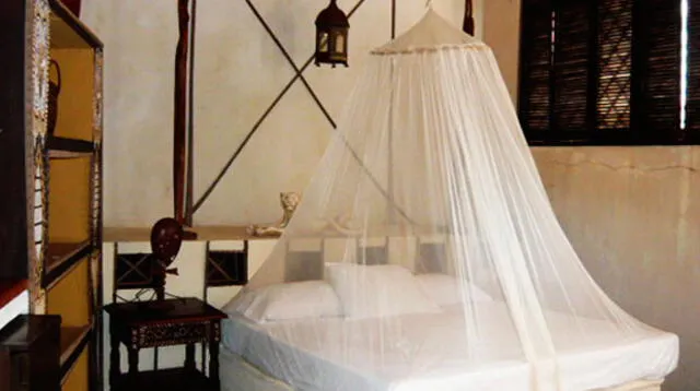 Se recomienda que la habitación donde te alojes tenga mosquitero
