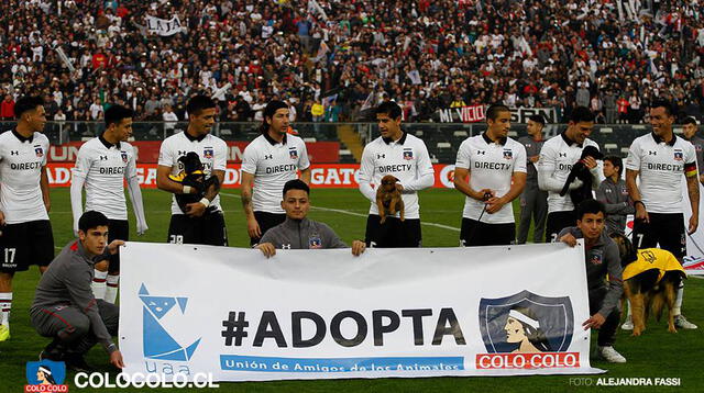 Colo Colo promueve campaña de adopción de mascotas