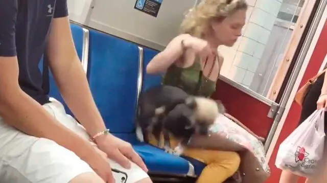 La mujer agredió salvajemente al perrito peruano en estación de tren