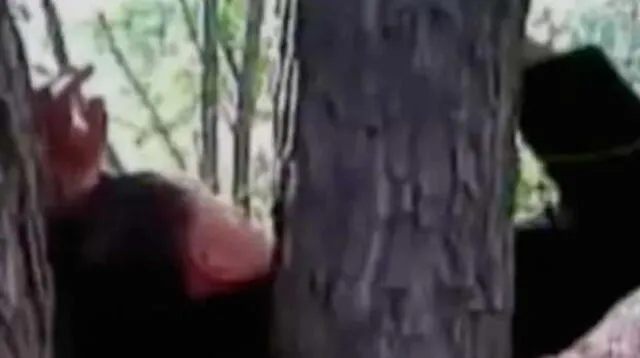 Hombre fue encontrado agonizando con ambas manos clavadas a un árbol