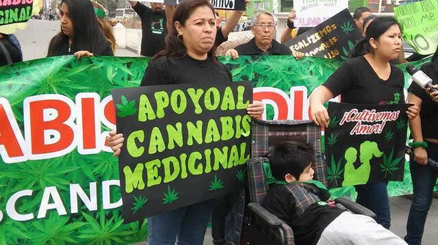 Comunidad que está a favor de la marihuana medicinal saluda medidas del Congreso