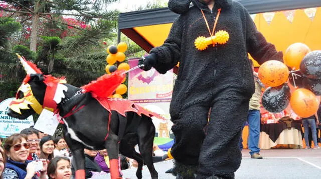 Concurso de mascotas por Halloween en Lince