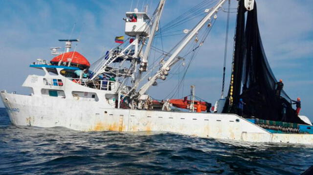 La Marina de Guerra del Perú incautó más 500 toneladas de pesca ilícita de la especie bonito en San Juan de Marcona