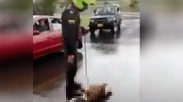 Perrito es arrastrado y humillado por policías en una moto 