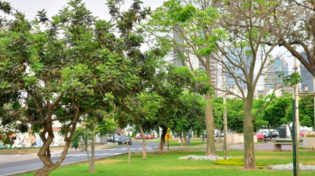 Poder Judicial ordenó a la Municipalidad de Lima suspender obras de avenida Aramburú y Parque Sur