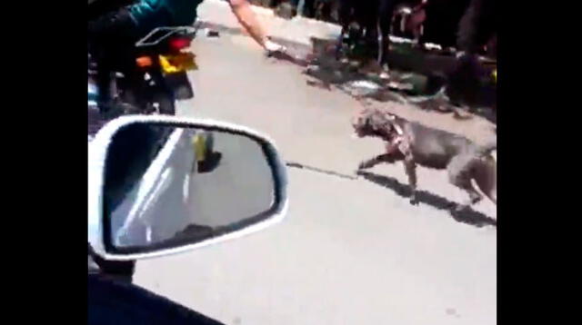  Perro es arrastrado por la calle por un motociclista en Colombia