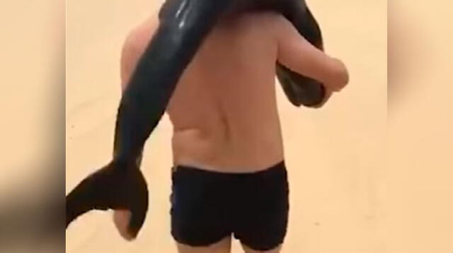 Hombre encuentra un delfín varado en la playa y su decisión sorprende a todos