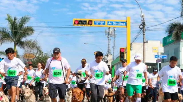 Canes corrieron 2 kilómetros en San Miguel