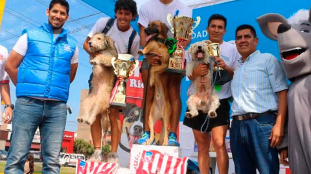 Perros mestizos ganaron la competencia en San Miguel